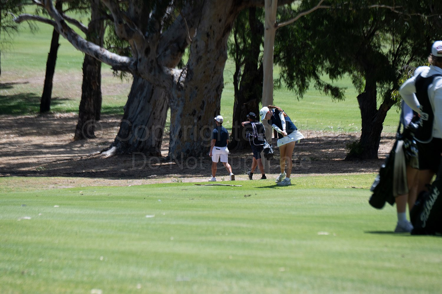 Webex Players Series Golf 2026