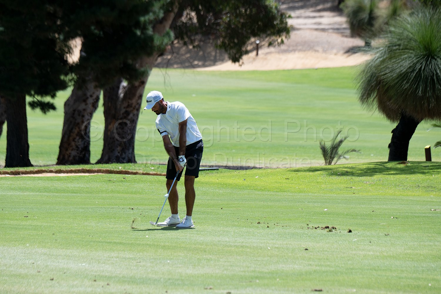 Webex Players Series Golf 2026