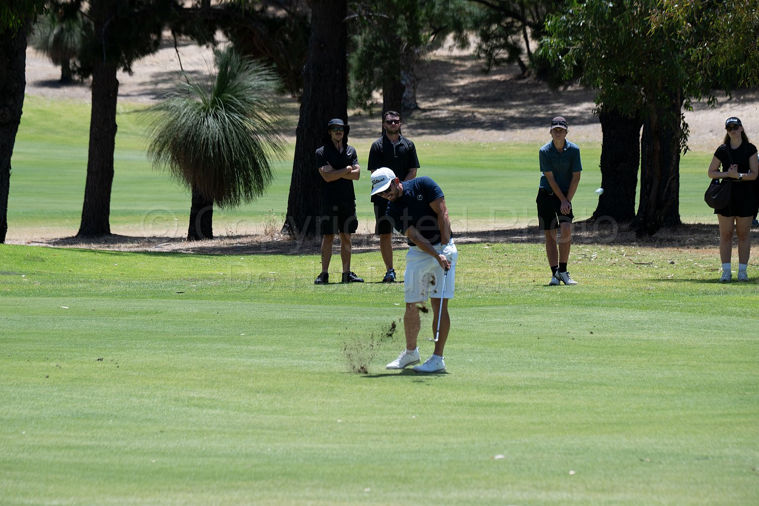 Webex Players Series Golf 2026