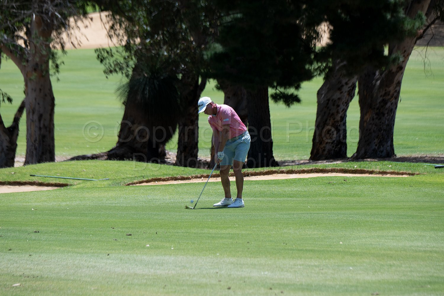 Webex Players Series Golf 2026