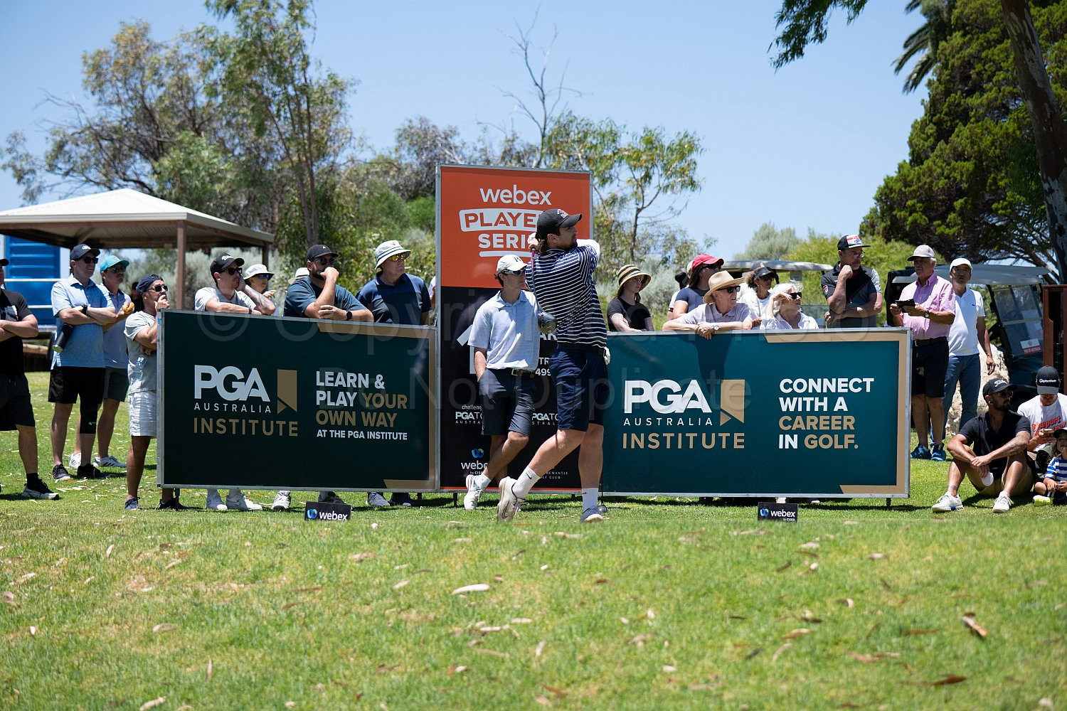 Webex Players Series Golf 2026