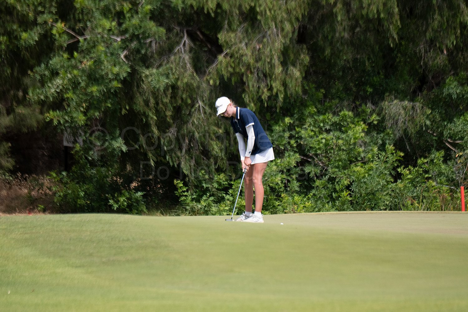 Webex Players Series Golf 2026