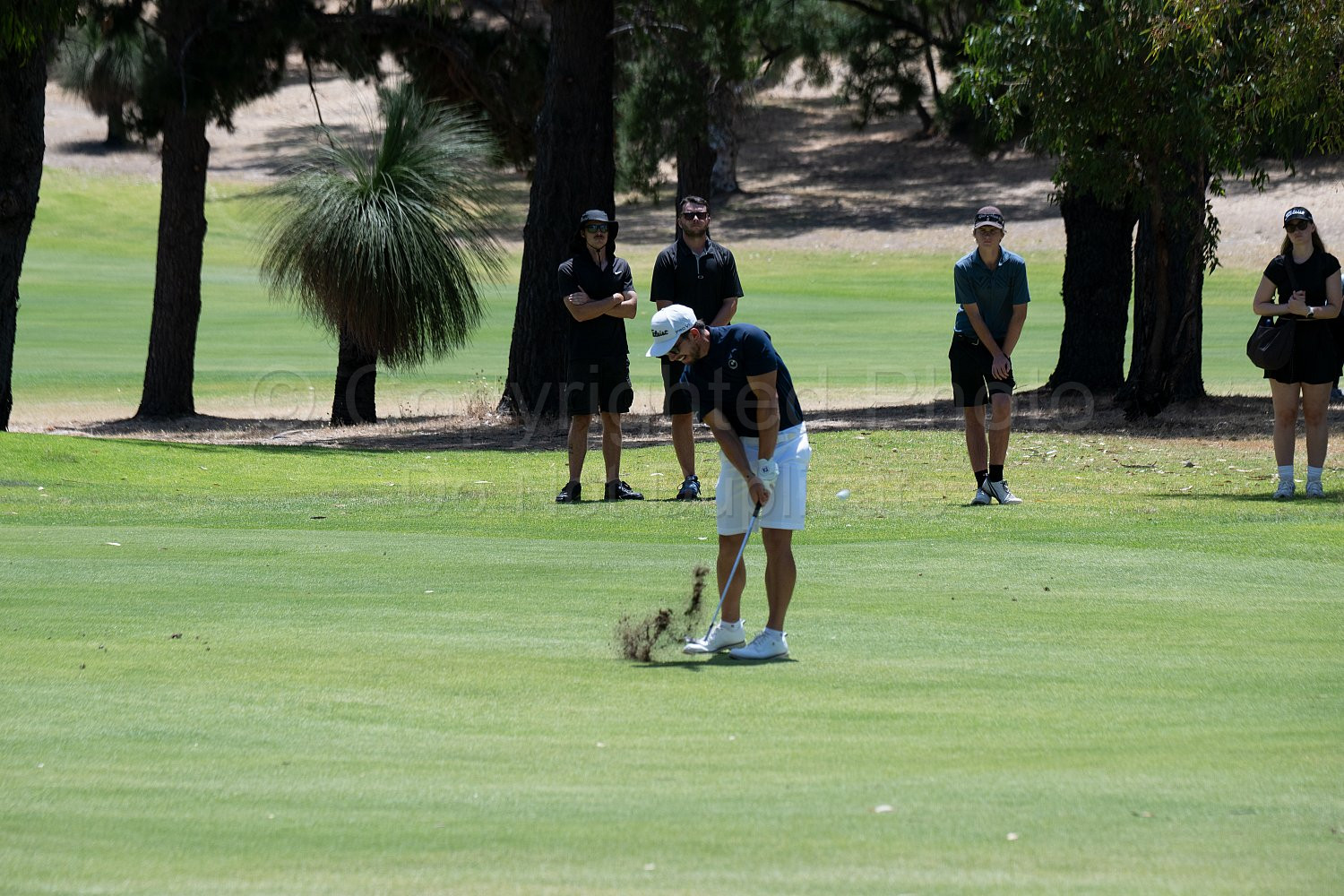 Webex Players Series Golf 2026