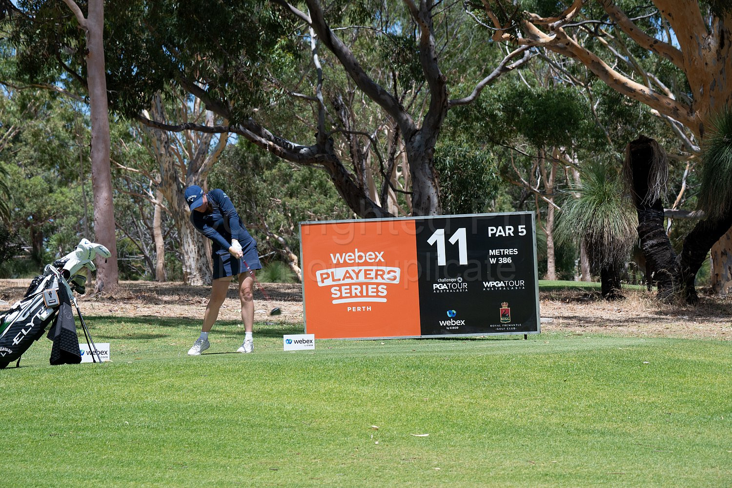 Webex Players Series Golf 2026