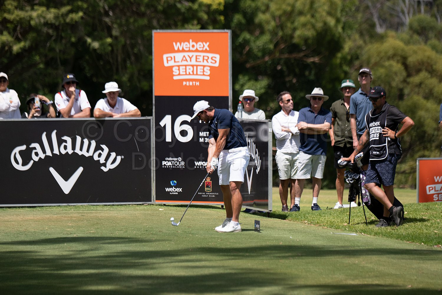 Webex Players Series Golf 2026