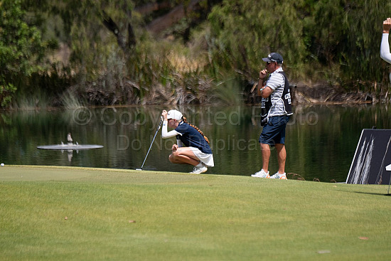 Webex Players Series Golf 2026
