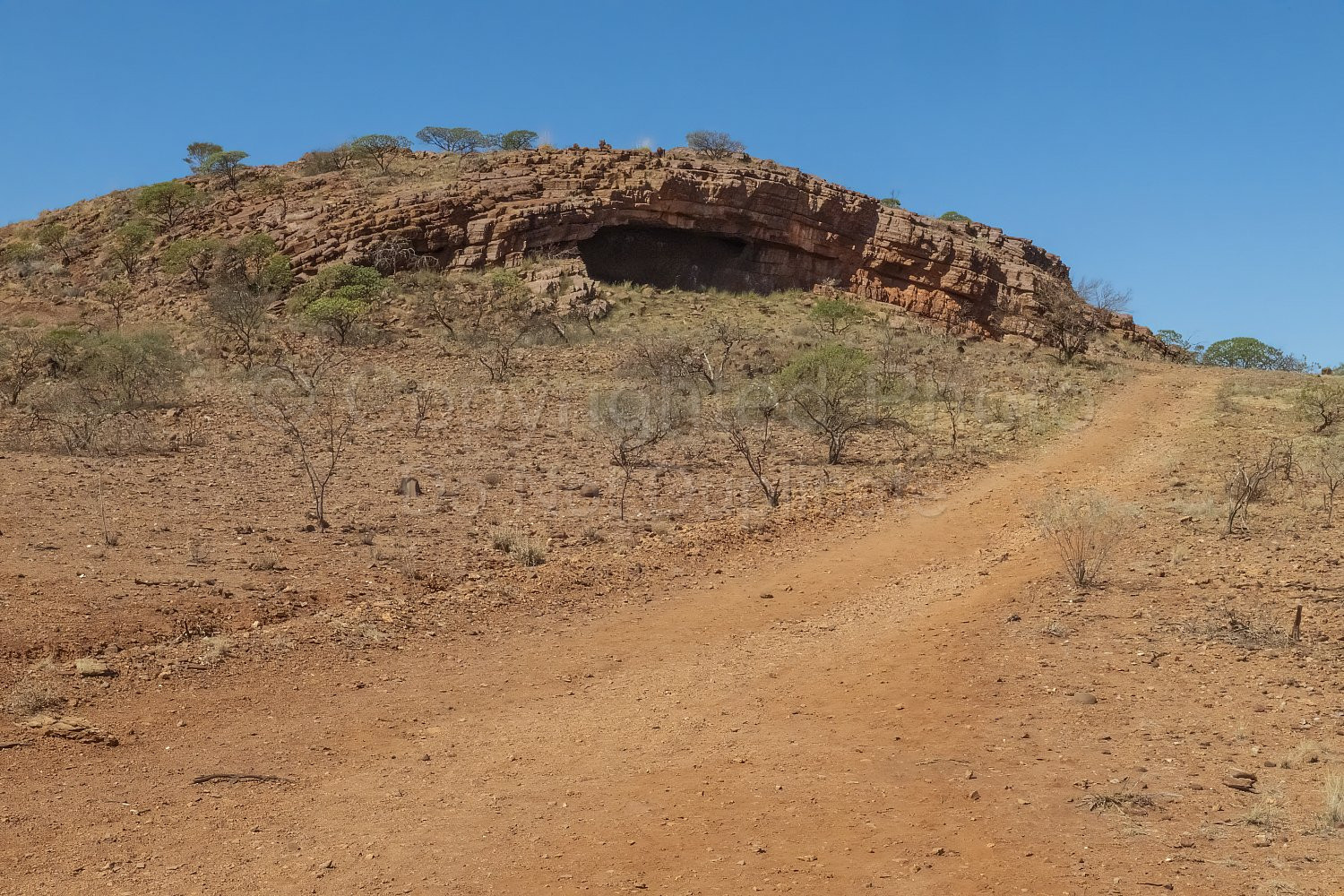 Cheela Plains Cave