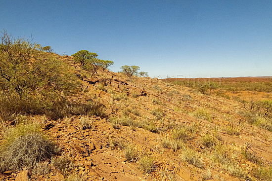 Cheela Plains Cave